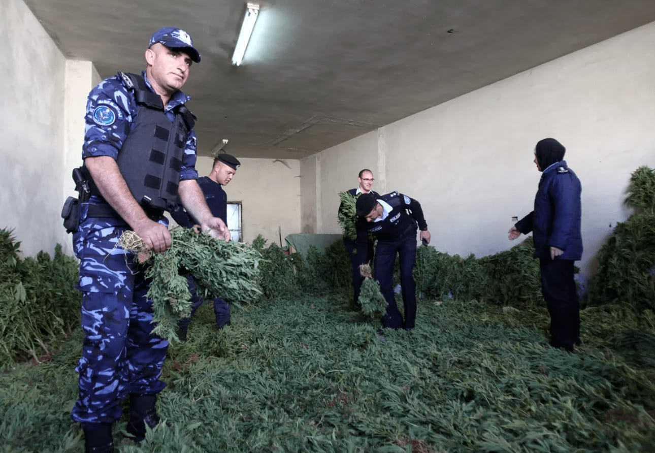 diskriminasi ganja palestina